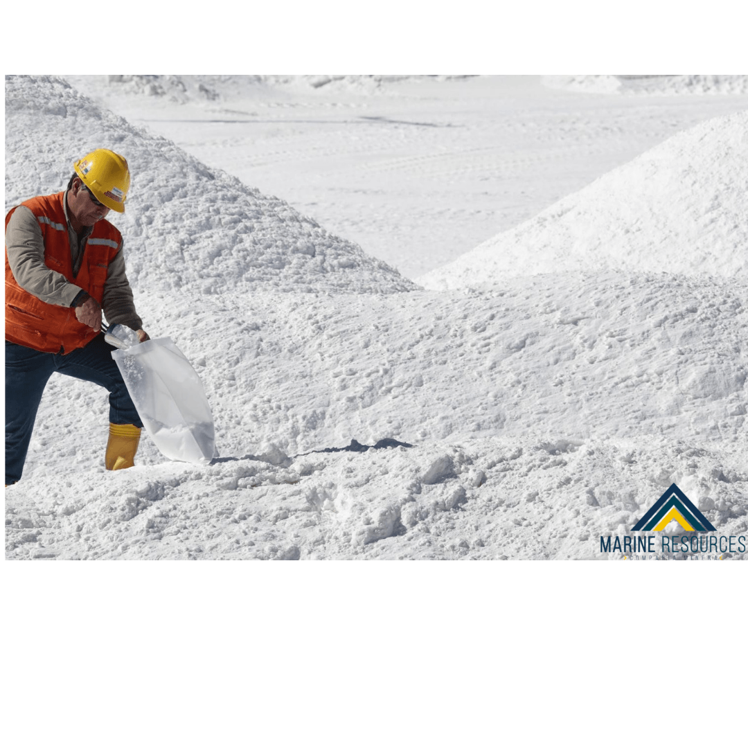 Mineral Litio