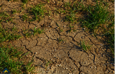 Contaminación del suelo