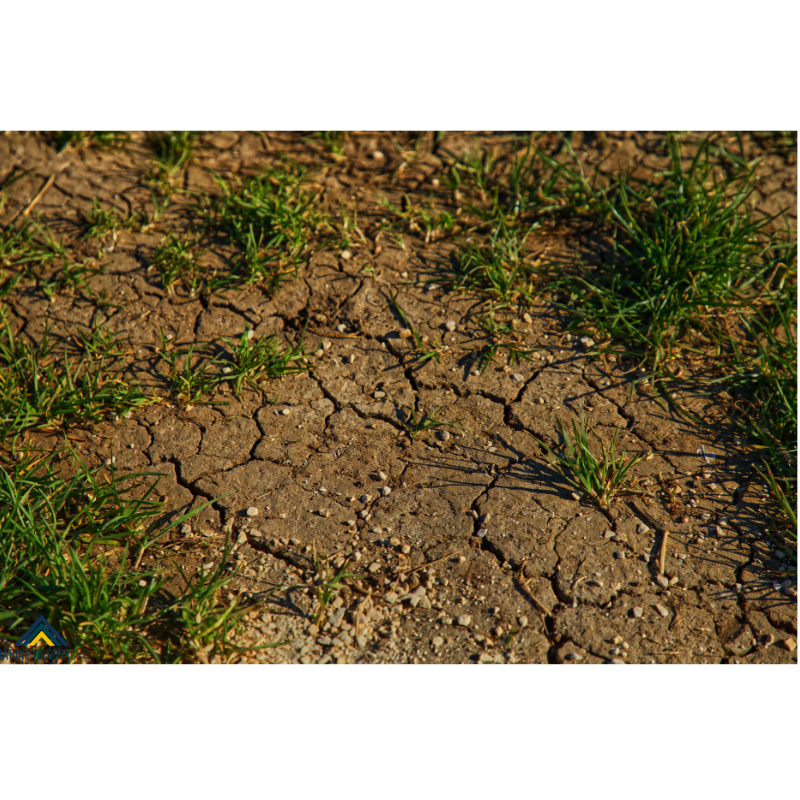 Cómo evitar la contaminación del suelo