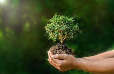 Conservacion de recursos naturales