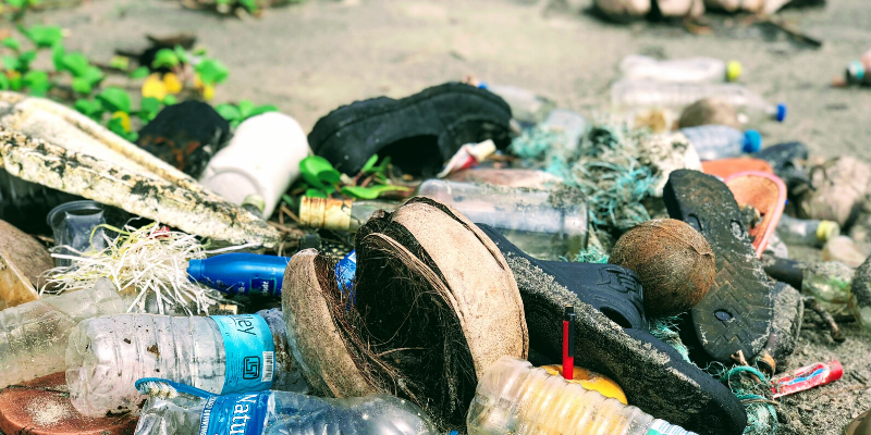 ¿Cómo gestionar el cambio para evitar y controlar los daños ambientales ...