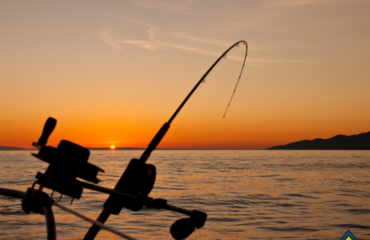 Pesca sostenible