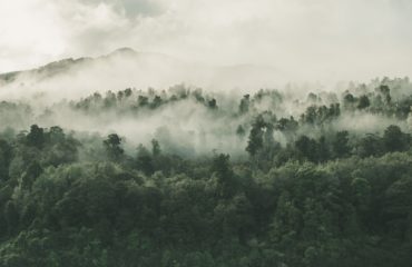 Preocupación ambiental