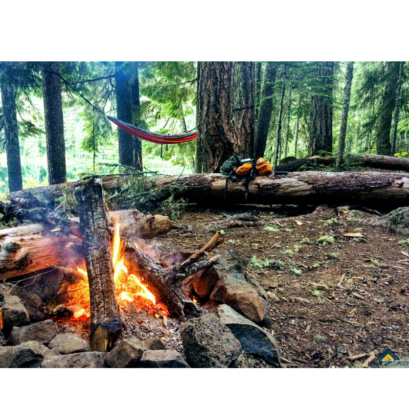 Medidas para evitar incendios forestales